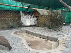 -静之湖度假区