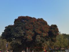 -汉景帝阳陵博物院