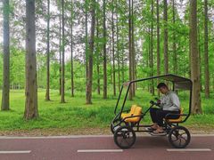 -黄海国家森林公园