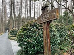 -上海怡沁园度假酒店