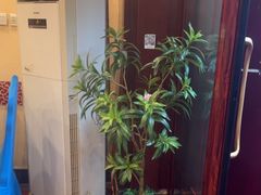 -阿西娅食府(中关村店)