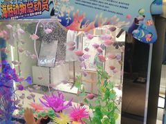 -卓锦曼购中心(国香街店)