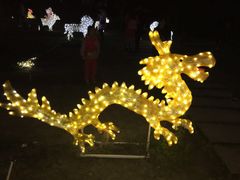 -秀丽东方