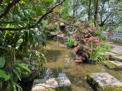 -成都市活水公园