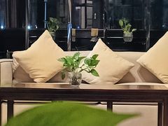 -碧桂园空港凤凰酒店(广州新白云机场店)