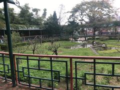 -纪念孙中山市政公园