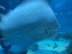 -海合安青岛极地海洋公园