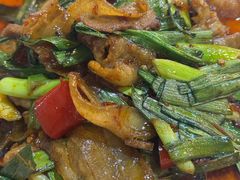 泡椒回锅肉-蒲氏烤鸭(百寿路店)