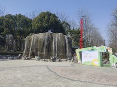 -合肥滨湖国家森林公园