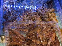 -阿伟海鲜楼·福建菜(延寿店)