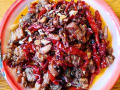 -柴窝堡22号辣子鸡·传承新疆菜