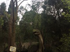 -寻龙山风景旅游区