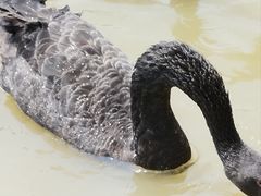 -祥源·阜阳生态乐园