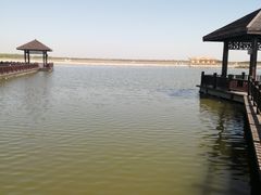 -南大港湿地风景区