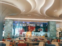 大堂-帝企鹅自助餐厅•儿童岛•真企鹅(长隆企鹅酒店)