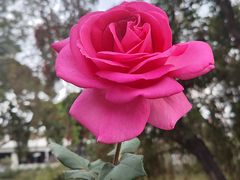 -人民公园(罗湖区)