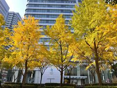 -上海不夜城广场(上海不夜城金融大厦店)