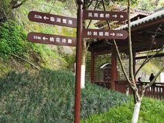 -重庆彩云湖湿地公园