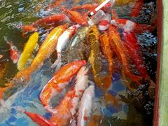 -白沙门生态公园