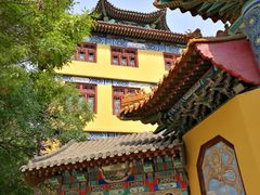 -挂甲禅寺
