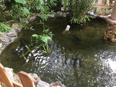 -聚缘·湘味音乐餐厅party(罗湖店)