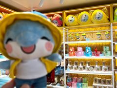 -南昌之星游乐场