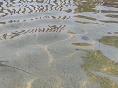 -营口金泰珑悦海景大酒店