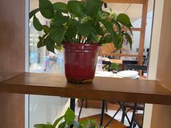 -沈家花园如皋菜(海阳路店)