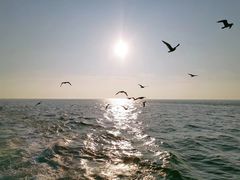 -海驴岛(荣成市)