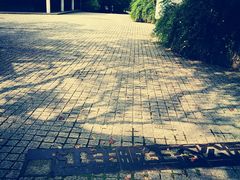 -西湖风景区-江洋畈生态公园