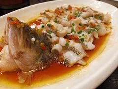 -河畔春天时尚餐厅