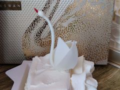 -BLACKSWAN黑天鹅(环球店)