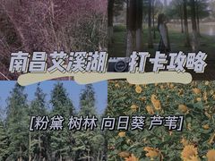 -艾溪湖湿地公园