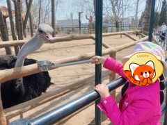 -大连森林动物园