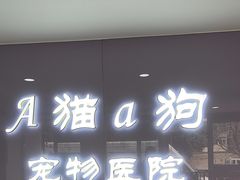 -A猫a狗全科·犬猫异宠·芥西宠物医院(南开总院)