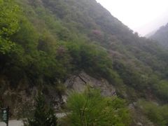 android_upload_pic-田峪河公园