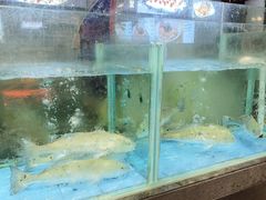 -东江渔村·古典园林·30年粤菜老字号(太和店)