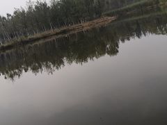 -东郊湿地公园