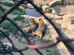 -大连森林动物园