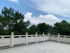 -铁山坪森林公园