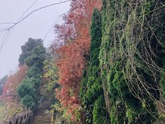 -金堂县云顶石城风景区