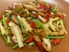 泡椒八爪鱼-渝半城经典川粤菜(重庆天地店)