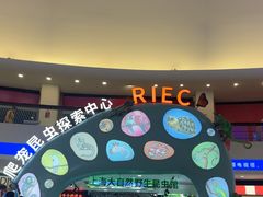 -上海大自然野生昆虫馆(东方明珠·爬宠昆虫探索中心)