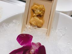 海胆-水木锦堂·自助铁板烧(世贸天阶店)