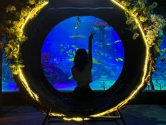 -沈阳海洋探索中心