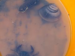 -北海金海湾红树林生态旅游区