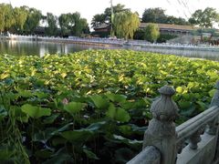 -后海公园