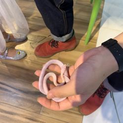 -Moni星球萌宠·小马宝莉·灵蛇·高端高阶全萌宠互动体验俱乐部(红豆国际广场店)