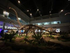 -自贡恐龙博物馆