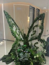 -杭州米兰柏羽医疗美容医院